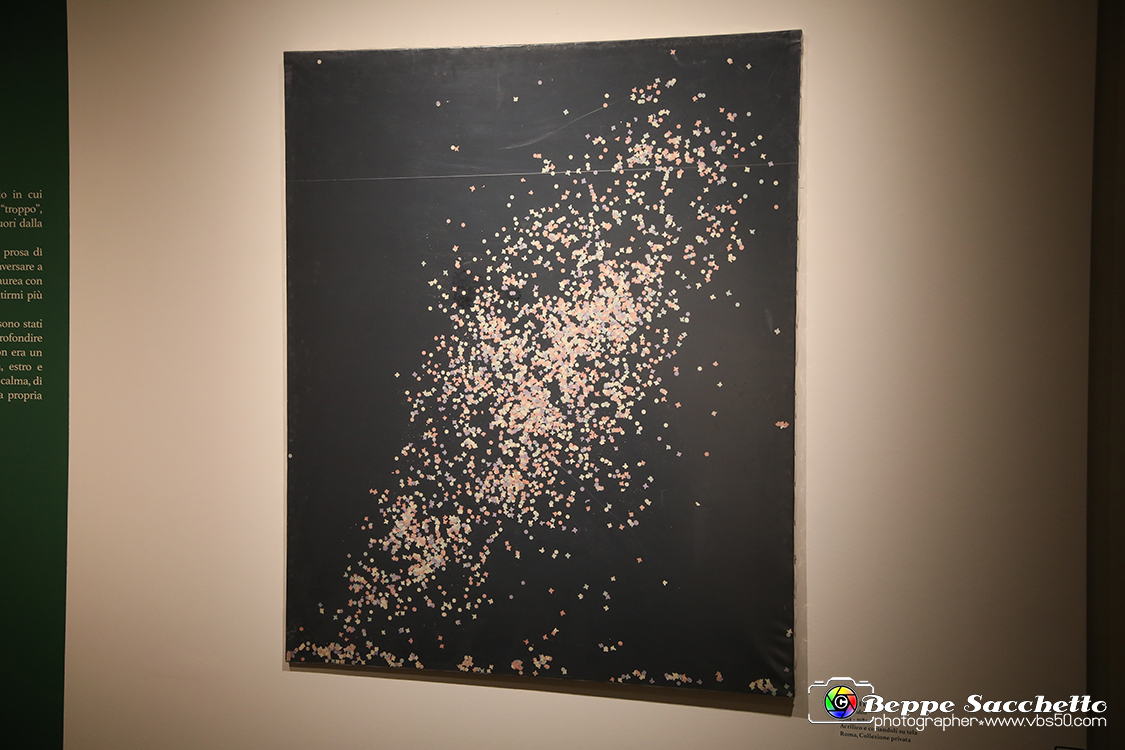 VBS_1385 - Castello di Miradolo - Mostra Oltre il giardino l'Abbecedario di paolo Pejrone.jpg